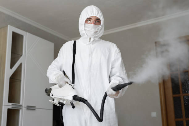 Best Forensic Mold Investigation  in Payson, AZ